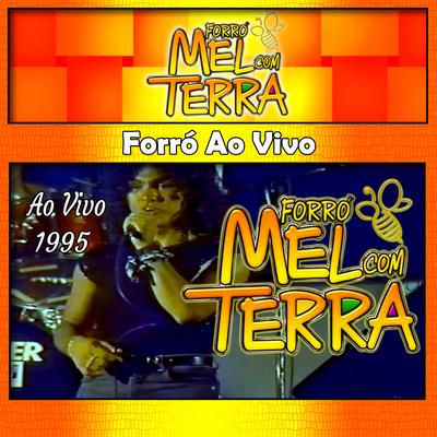 Forró Ao Vivo - 1995's cover