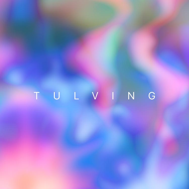 Tulving's avatar image
