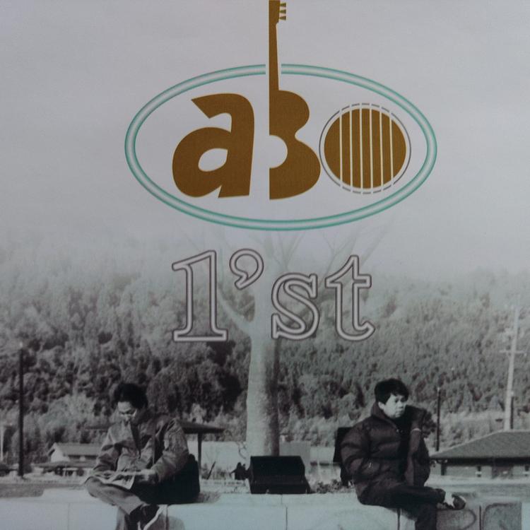 Abo's avatar image