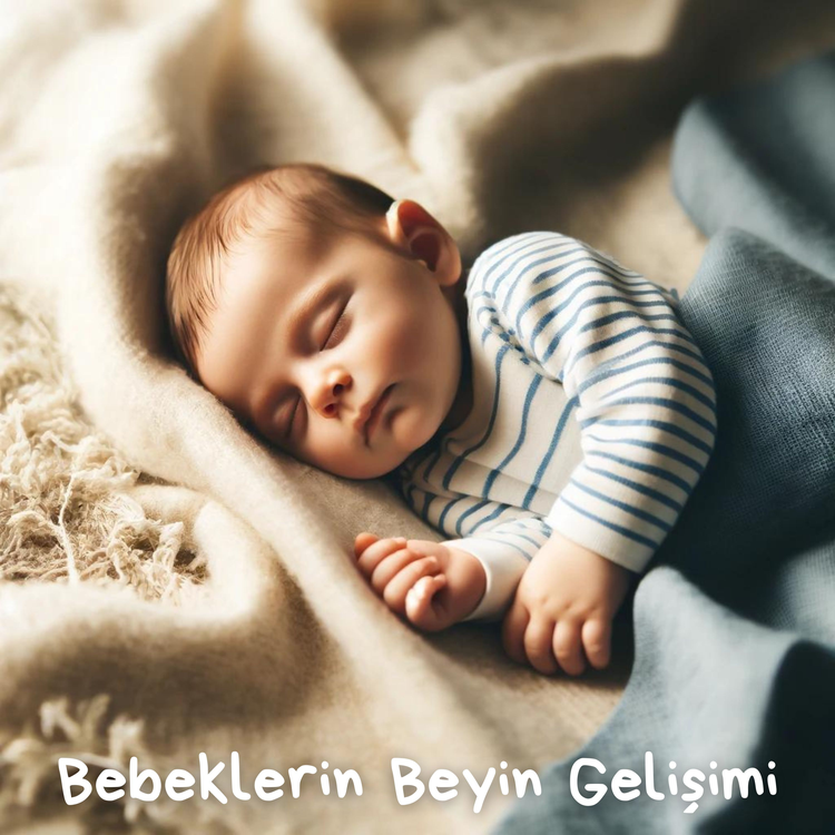 Bebek Uyku Ninnileri's avatar image