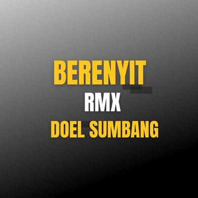 Berenyit Rmx's cover