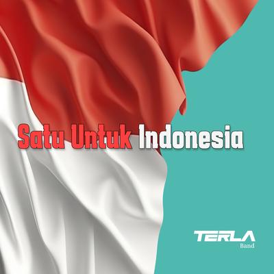 Satu Untuk Indonesia's cover
