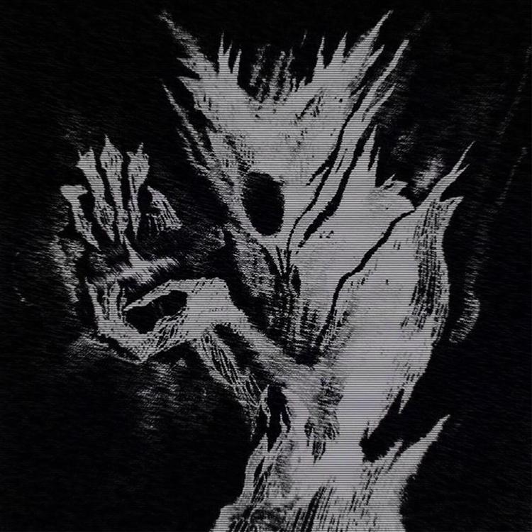 DRUMX's avatar image