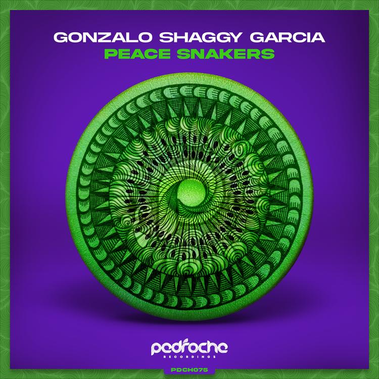 Gonzalo Shaggy Garcia's avatar image