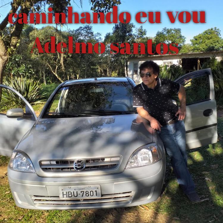 Adelmo Santos's avatar image