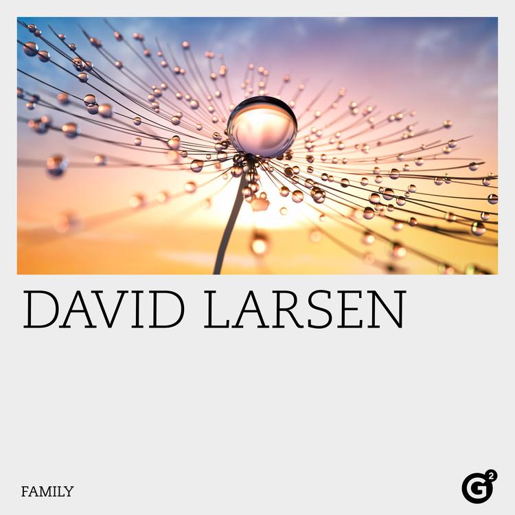 David Larsen's avatar image