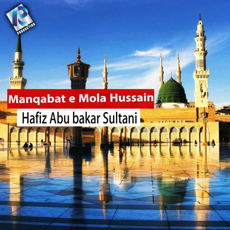 Hafiz Abu Bakar Sultani's avatar image