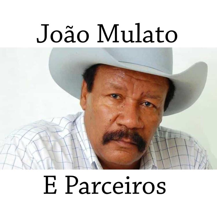 João Mulato e Parceiros's avatar image