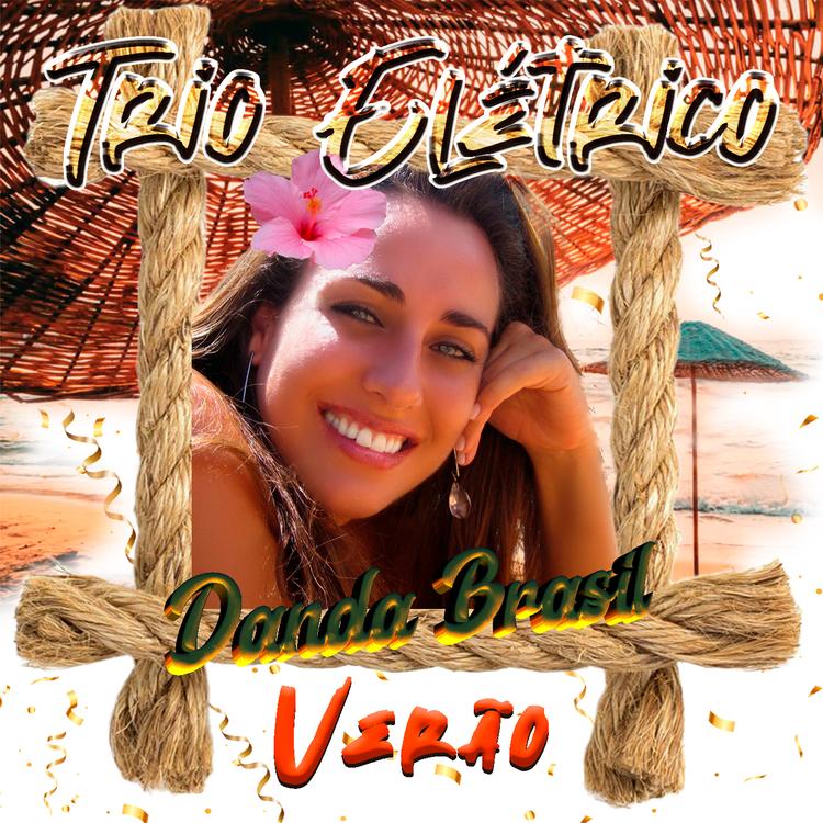 Dãnda Brasil's avatar image