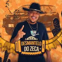 zeca agricultor's avatar cover