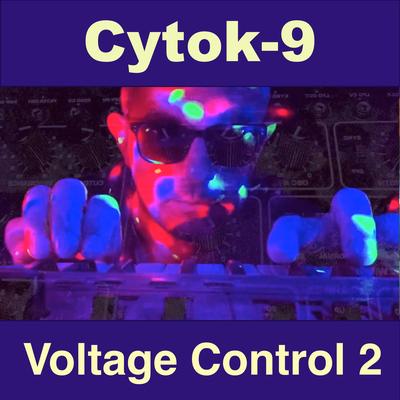 Voltage Control 2's cover