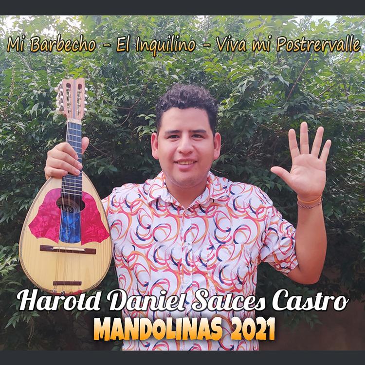 Harold Salces's avatar image