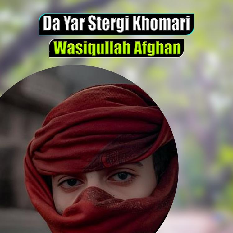 Wasiqullah Afghan's avatar image