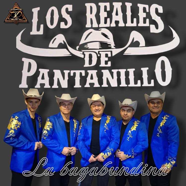 Los Reales de Pantanillo's avatar image