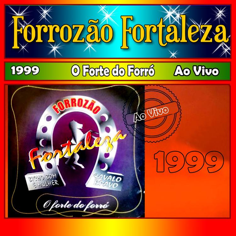 Forrozão Fortaleza's avatar image