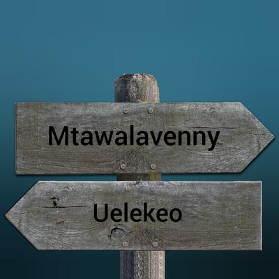 mtawalavenny's cover
