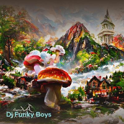 DJ Funky Boys's cover