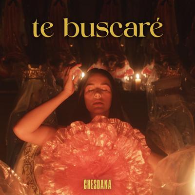 Te Buscaré By Chesdana's cover