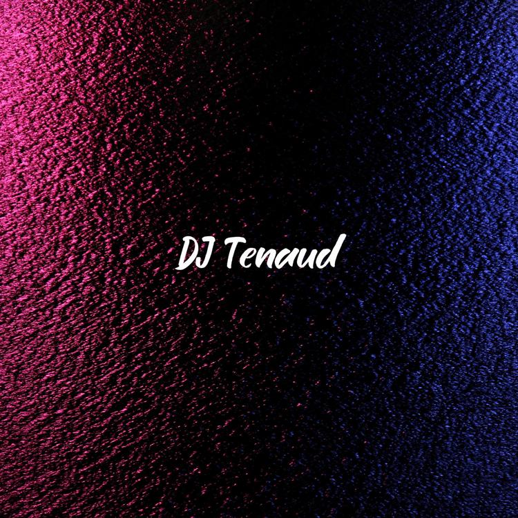 Dj Tenaud's avatar image