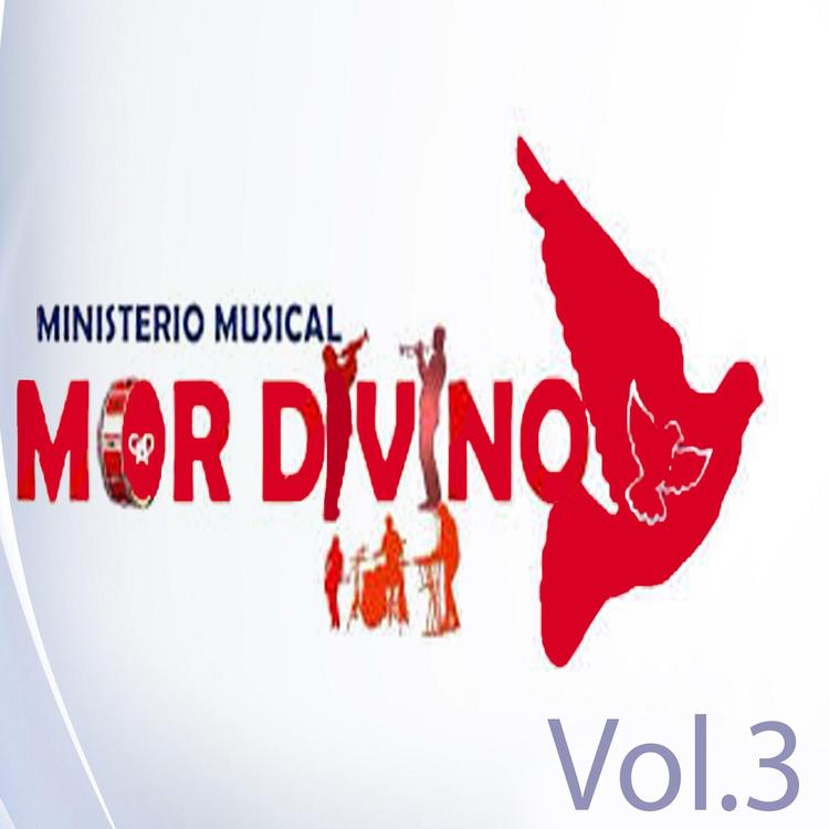 Ministerio Musical Amor Divino's avatar image