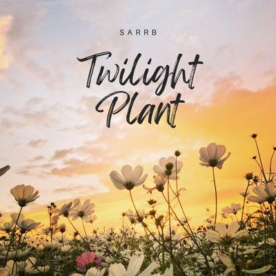 SARRB's cover