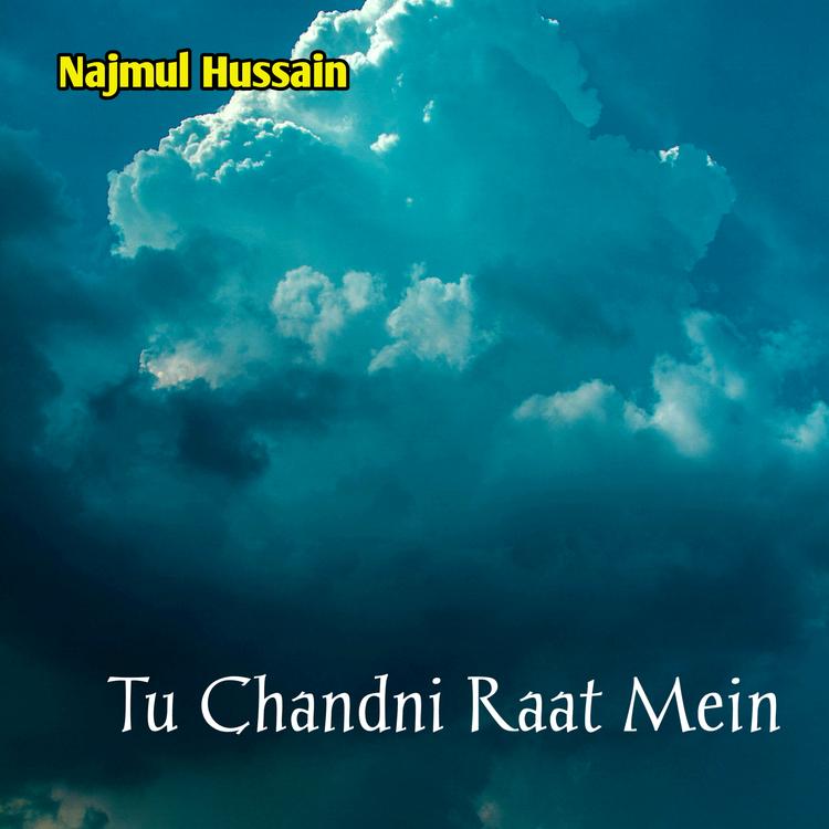 Najmul Hussain's avatar image