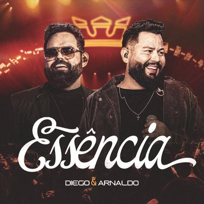 Como é Que Fala Não (Ao Vivo) By Diego & Arnaldo's cover