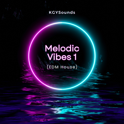 Melodic Vibes 1 (Edm House)'s cover