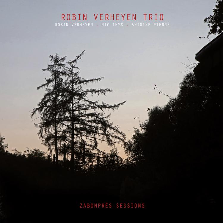 Robin Verheyen Trio's avatar image