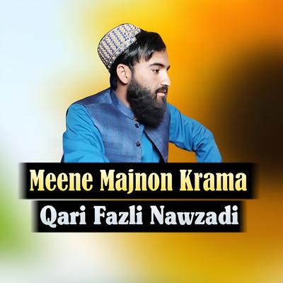 Qari Fazli Nawzadi's cover