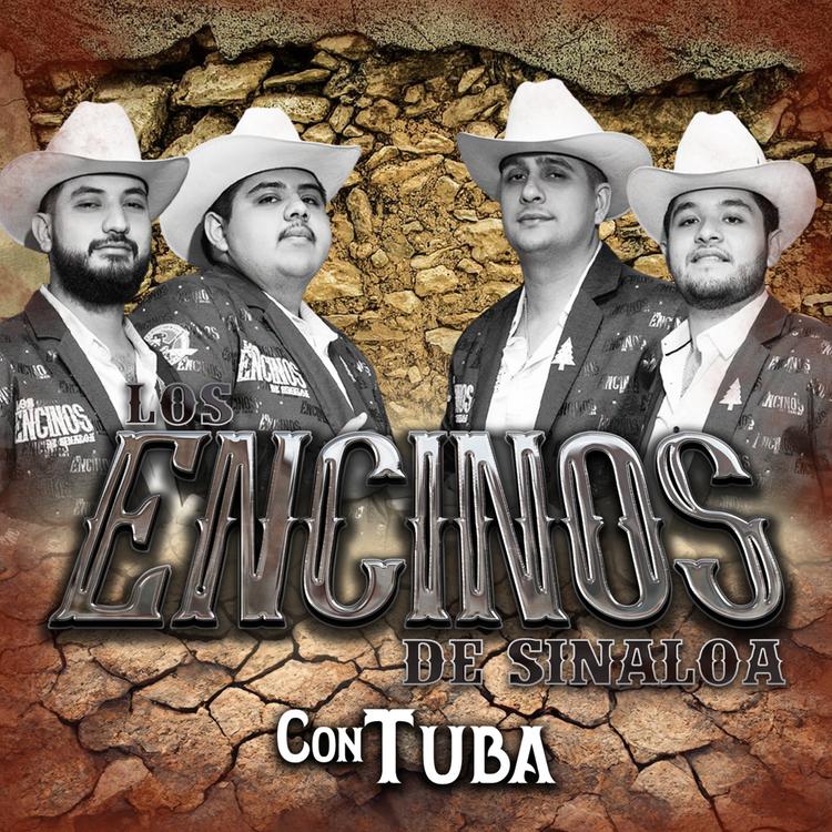 Los Encinos De Sinaloa's avatar image