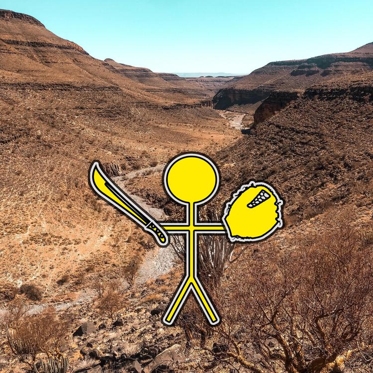 Safari Men's avatar image