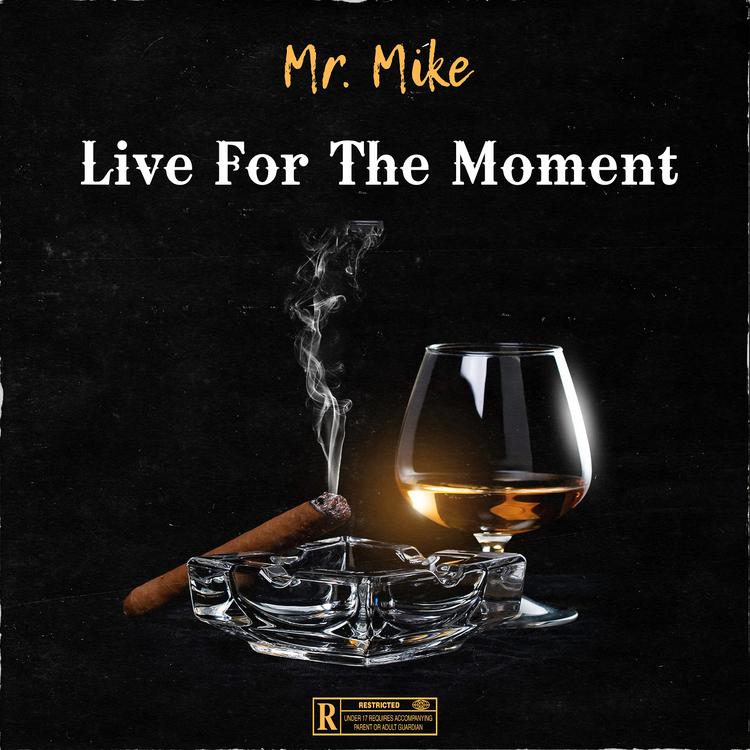 Mr. Mike's avatar image