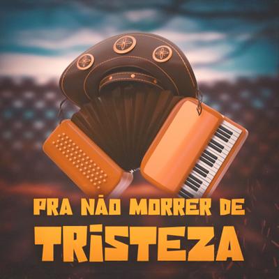 Pra Não Morrer de Tristeza's cover
