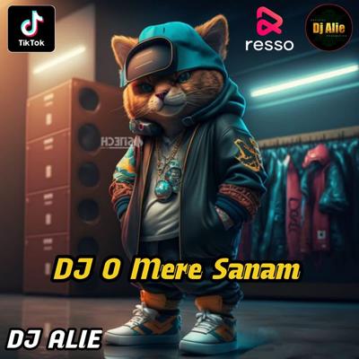 DJ O MERE SANAM INS's cover