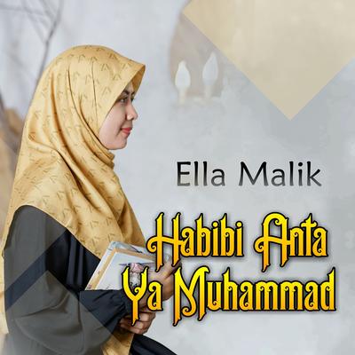 Habibi Anta Ya Muhammad's cover