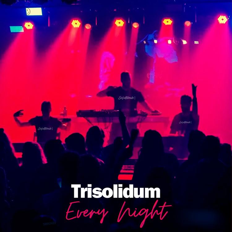 Trisolidum's avatar image