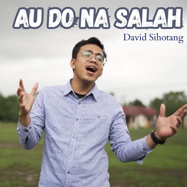David Sihotang's avatar image