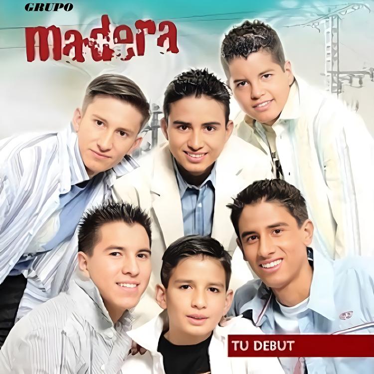 Grupo Madera's avatar image