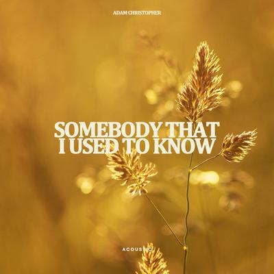 Somebody That I Used to Know (Acoustic)'s cover