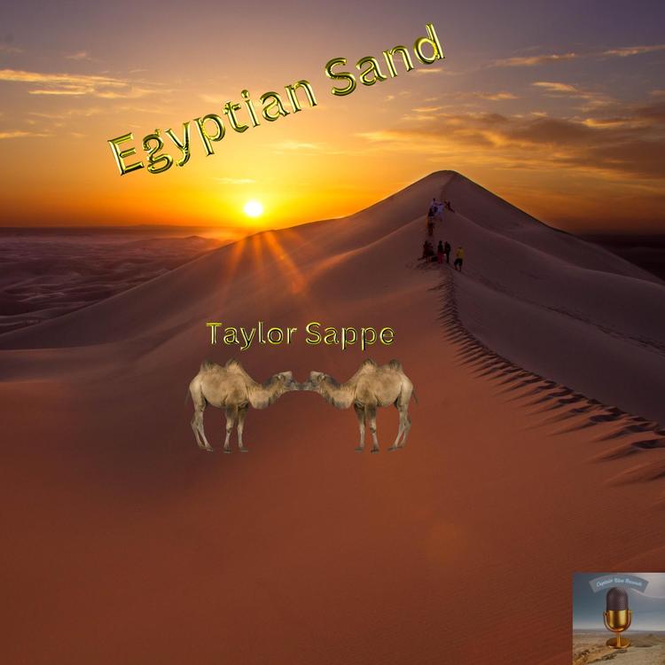 Taylor Sappe's avatar image