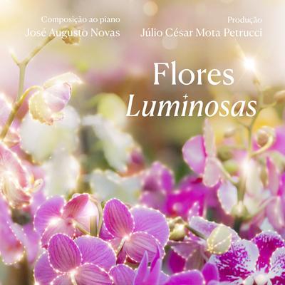 Flores de luz By José Augusto Novas's cover