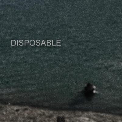 DISPOSABLE's cover