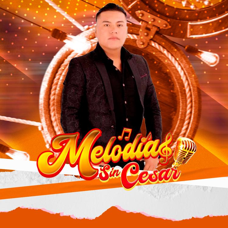 Melodías Sin Cesar's avatar image