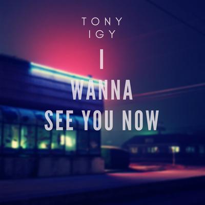 I Wanna See You Now By Tony Igy's cover