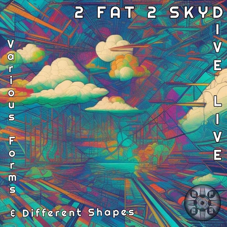 2 Fat 2 Skydive's avatar image