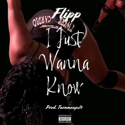 I Just Wanna Know's cover