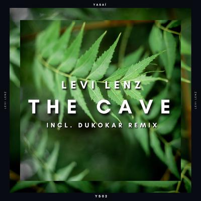 The Cave (Dukokar Remix)'s cover