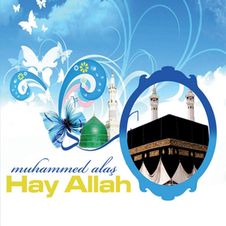 Muhammed Alas's avatar image