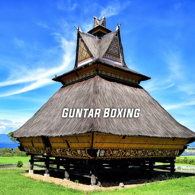 Guntar Boxing's cover